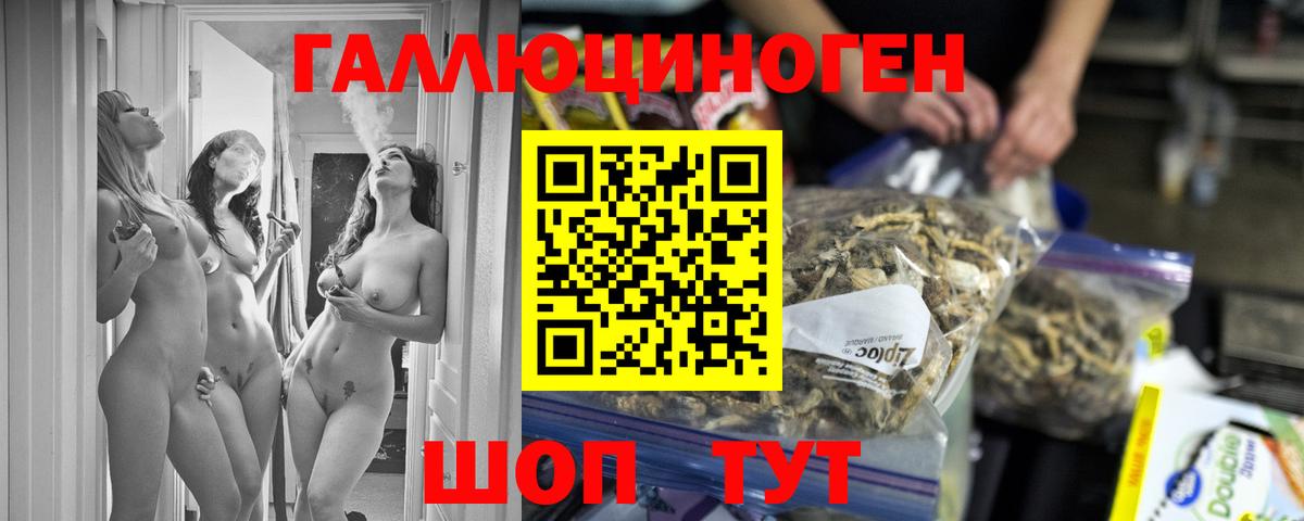 Псилоцибиновые грибы Psilocybine cubensis Кохма